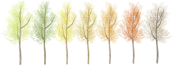 111008-trees-relaxin-waterland