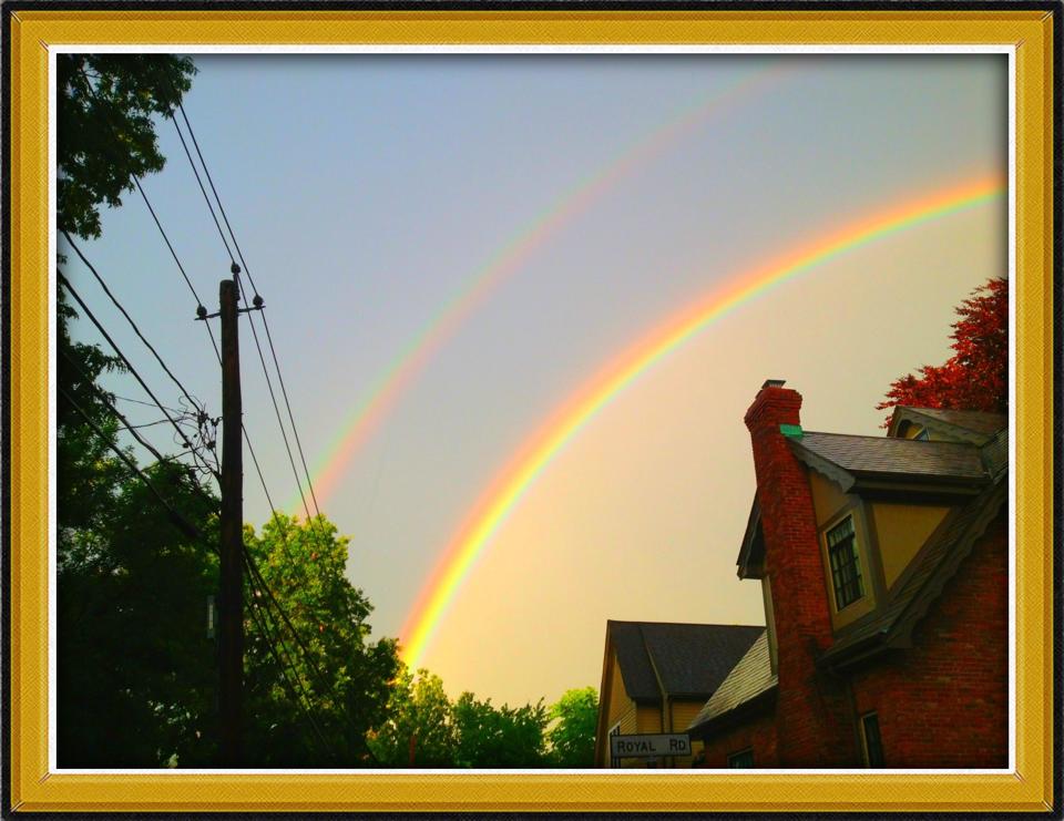 425241_10201431001916209_262301283_n