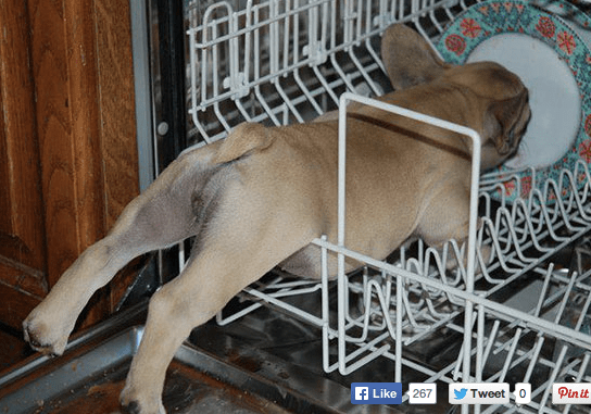 Screen Shot 2014-03-06 at 7.05.07 AM