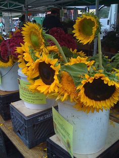 22c6c193395a5750986793812da7301c