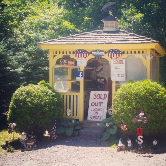 tumblr_n8cqqr9gos1qecgwyo1_1280