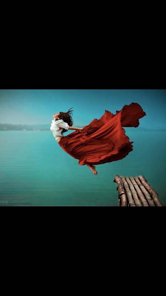 1601275_10151987195066297_1969371604_n