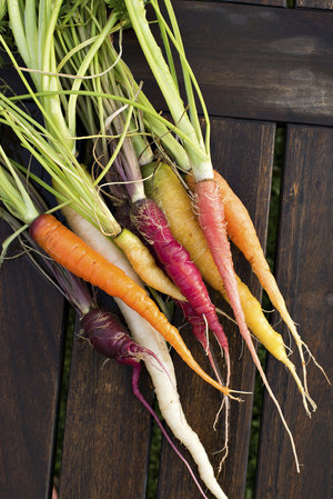 colorfulcarrots1_custom-942434864021a99f39083ae499c07e94362344b9-s300-c85
