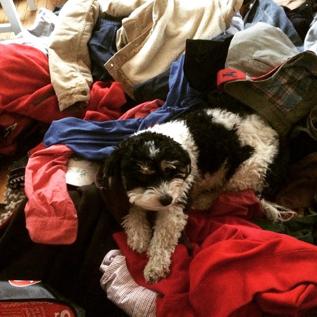 10929001_10153572657454129_1555617303976398576_n