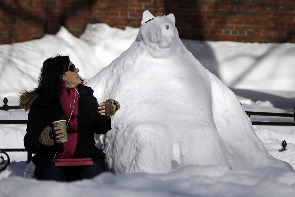 0210_snowbear