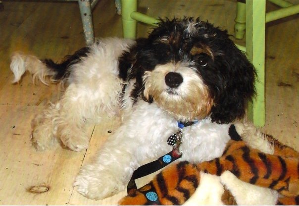 2184_77036139128_9485_n