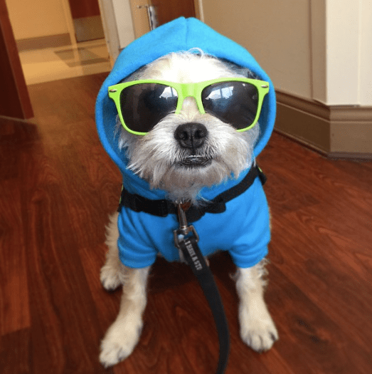 Screen Shot 2015-06-15 at 6.58.47 AM