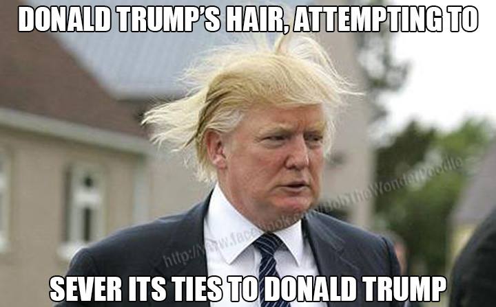 11709652_10153495344371081_2372880146644405919_n