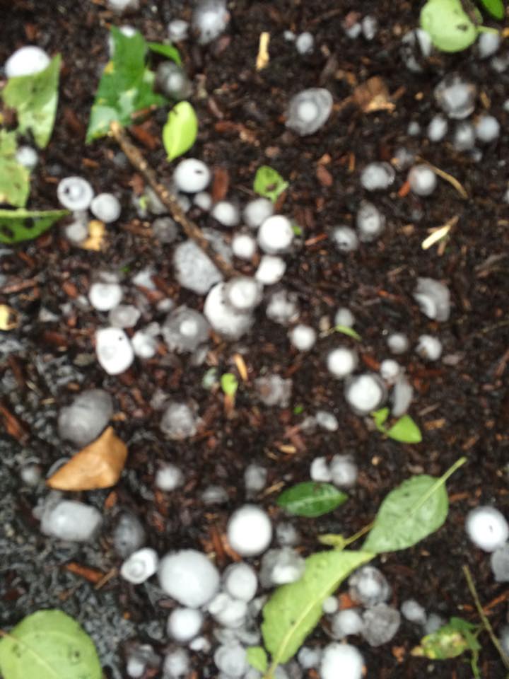 11817238_10154142650014129_5152009906049226829_n