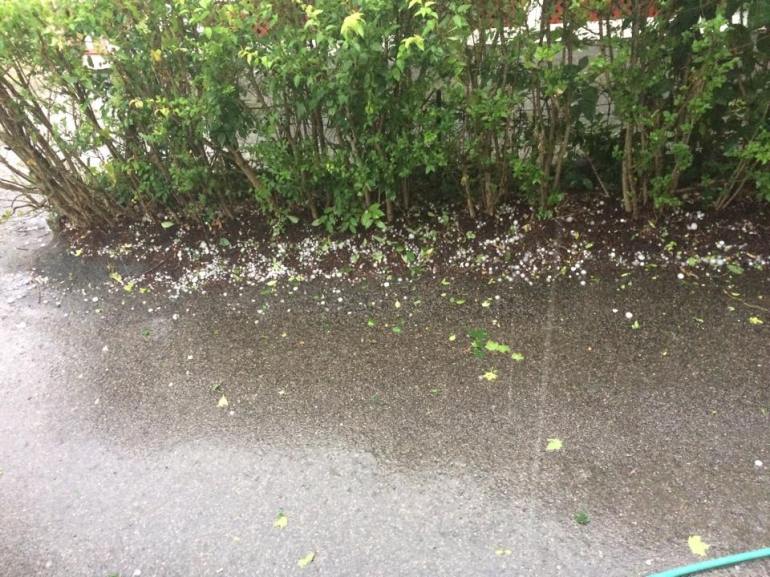 11846776_10154142638249129_9031692367161404001_n