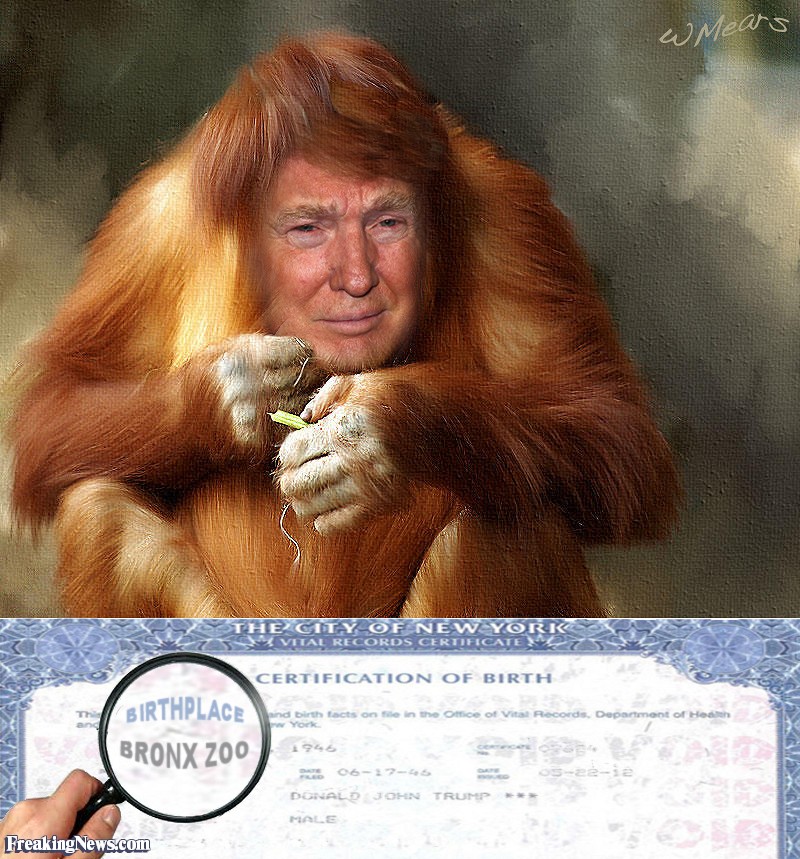 Donald-Trump-s-Birth-Certificate--105614