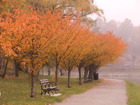 Brookline Reservoir (41 of 89)