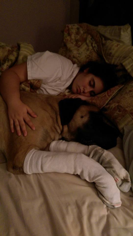 12193284_1052377944794113_5417923301091458113_n