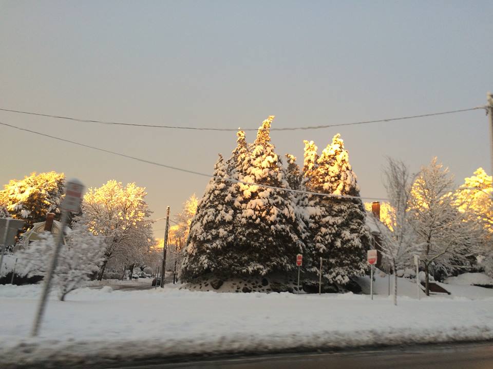 12645055_10207388622946532_8662821201084449496_n