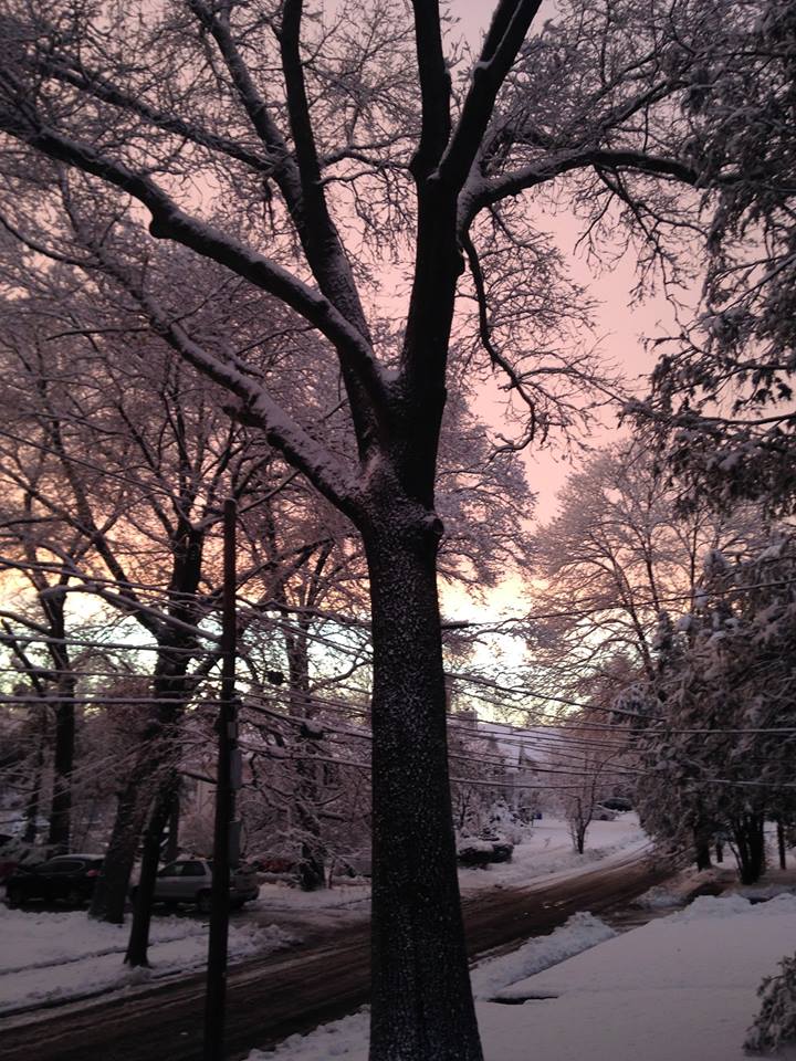 12651066_10207404933775164_2867763562003705269_n