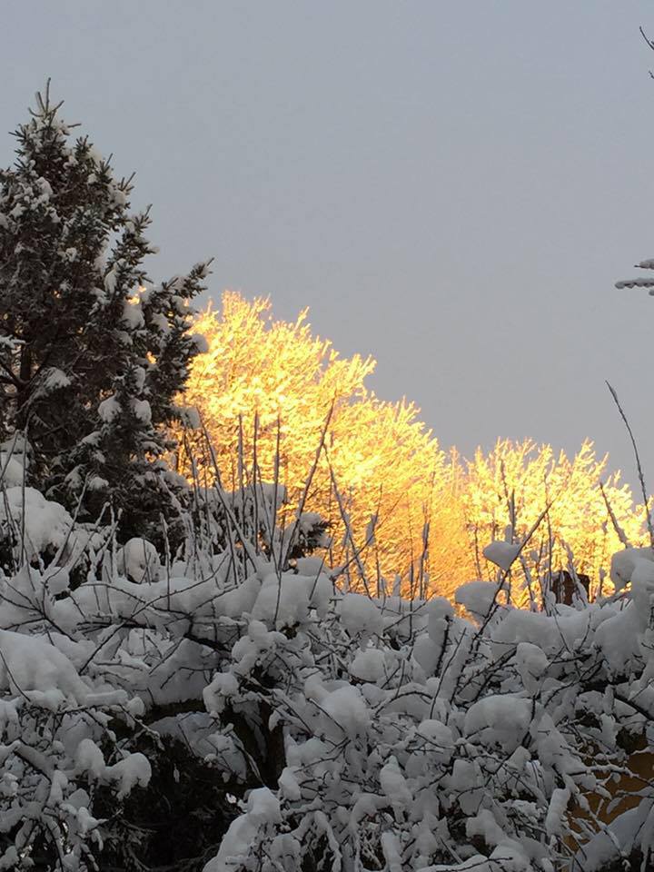 12670131_10207292571185901_2967053165195635961_n