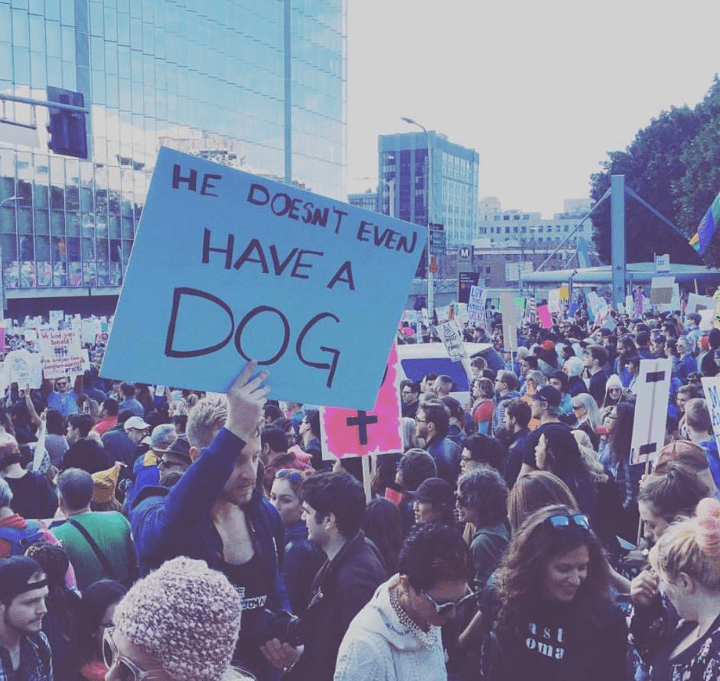 screen-shot-2017-01-22-at-8-49-47-am