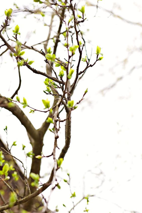 7a40f9ed42859f8b623211de23517c48