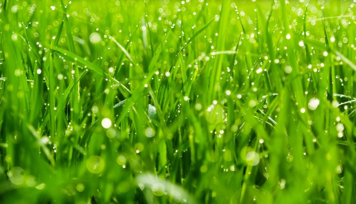 AAEAAQAAAAAAAAO5AAAAJGFkZDk3OGY3LTU5MDItNGZiZC1iMjFhLTk3NThhZjE1NTFlMw