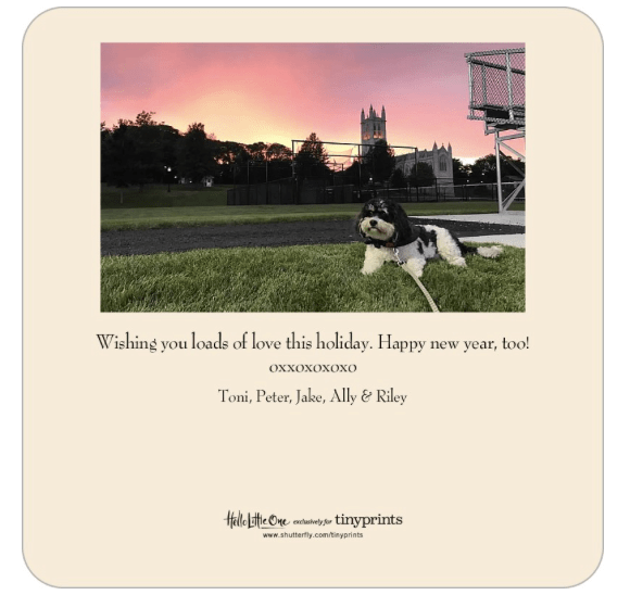 Screen Shot 2017-11-30 at 5.46.10 AM