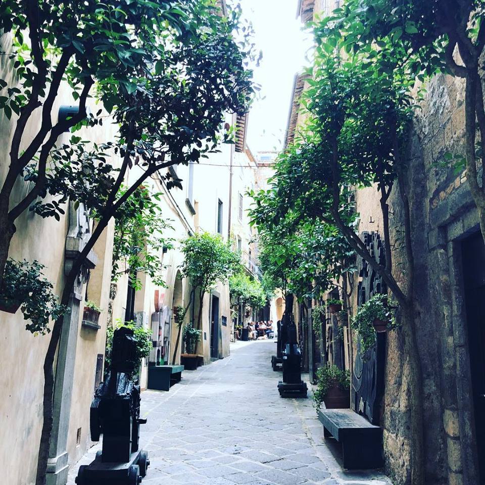 35416423_10157748320084129_4771149650092621824_n