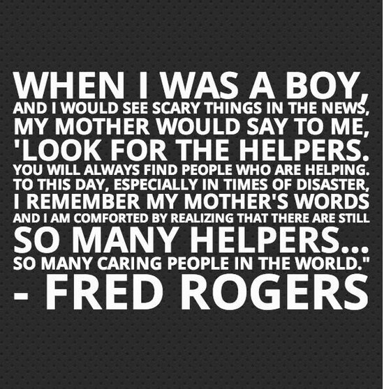 8f63f06f559231ccd248b823229725b0