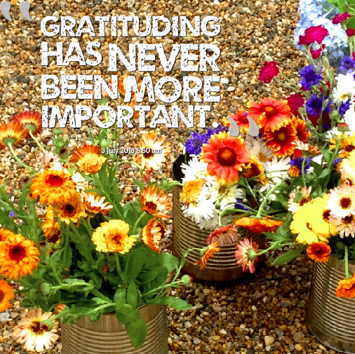 Screen Shot 2018-07-03 at 6.51.05 AM.png