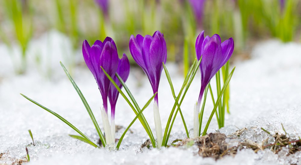 keeping-workers-healthy-1