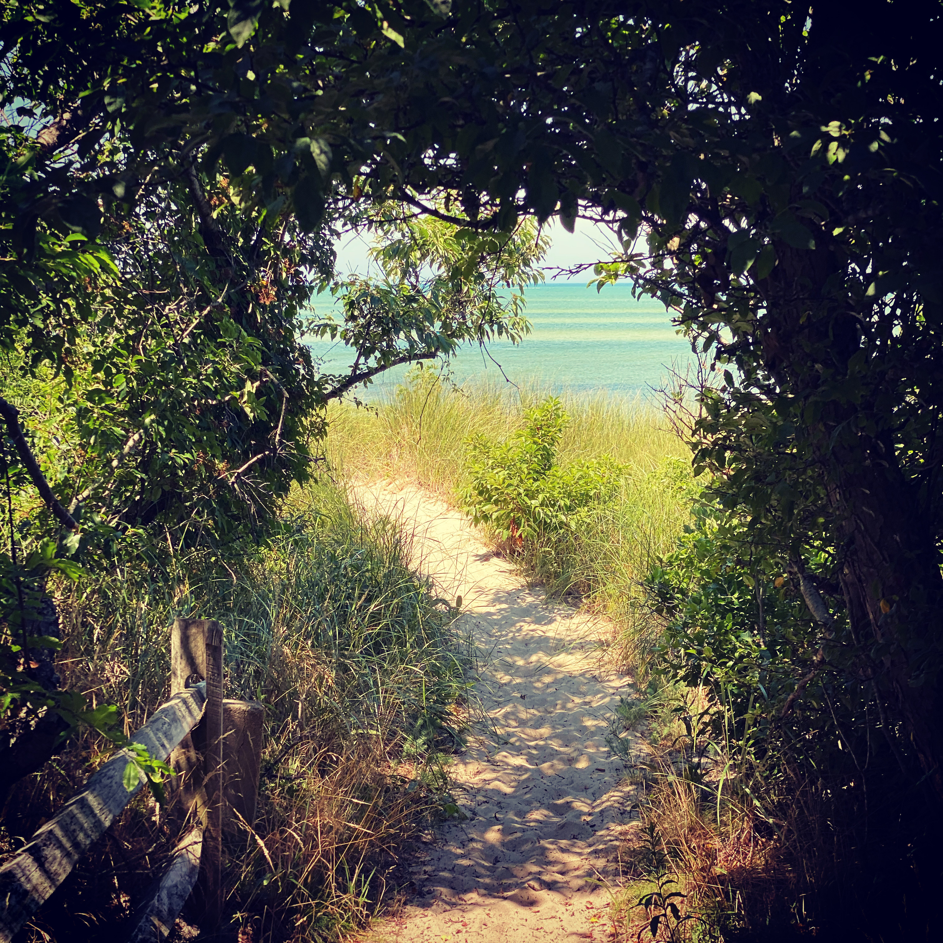 4B03E9EF-95BC-4220-B0C7-C74BBCD8B06F